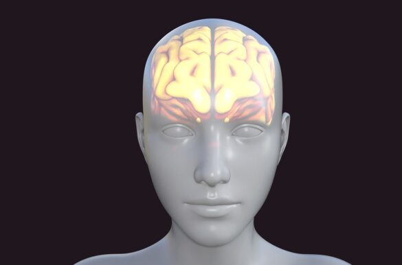 Мозъчна мъгла: защо понякога мислим по-бавно и как да възстановим концентрацията си